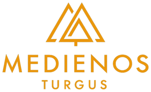 Medienos turgus