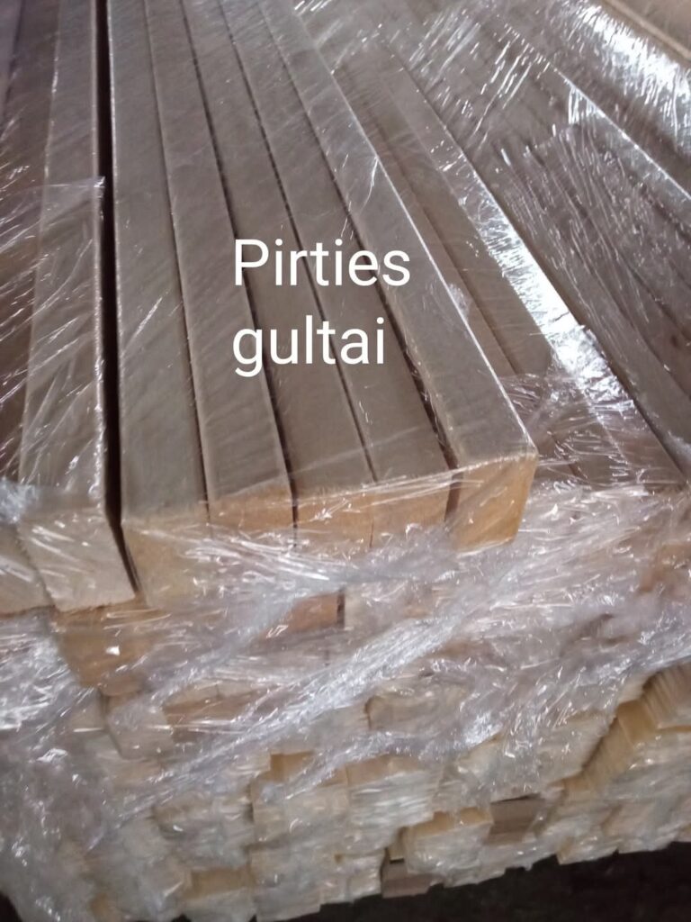 Pirties mediena
